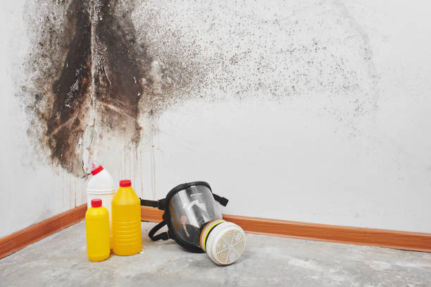 Best Certified Mold Removal  in Centre Hall, PA