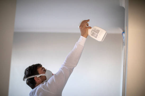 Best Black Mold Removal  in Centre Hall, PA