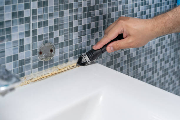 Best Local Mold Removal Service  in Centre Hall, PA