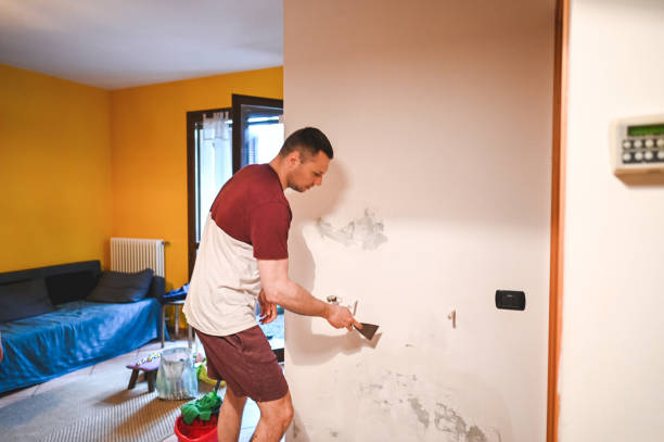 Office Mold Removal Services in Centre Hall, PA