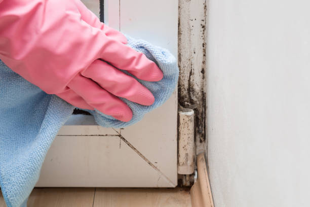 Best Mold Testing  in Centre Hall, PA